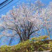 ヒメ日記 2026/04/10 20:05 投稿 さくら（人妻） Yシャツと私