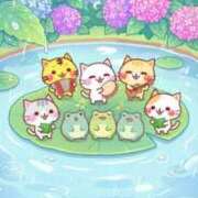 ヒメ日記 2026/06/01 11:49 投稿 さくら（人妻） Yシャツと私
