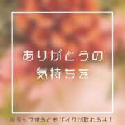 ヒメ日記 2024/11/27 17:22 投稿 あいる NEO不夜城