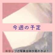 ヒメ日記 2024/12/09 12:22 投稿 あいる NEO不夜城