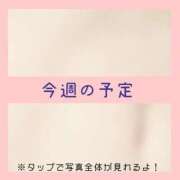 ヒメ日記 2024/12/22 23:32 投稿 あいる NEO不夜城