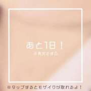 ヒメ日記 2024/12/31 23:32 投稿 あいる NEO不夜城
