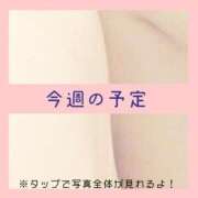 ヒメ日記 2025/02/24 22:52 投稿 あいる NEO不夜城