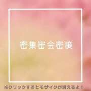 ヒメ日記 2025/03/12 20:52 投稿 あいる NEO不夜城