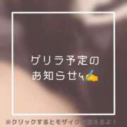 ヒメ日記 2025/04/12 21:52 投稿 あいる NEO不夜城