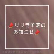 ヒメ日記 2025/05/14 19:22 投稿 あいる NEO不夜城