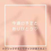 ヒメ日記 2025/07/17 12:04 投稿 あいる NEO不夜城