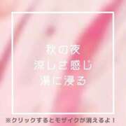 ヒメ日記 2025/09/25 23:59 投稿 あいる NEO不夜城