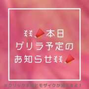 あいる ꉂꉂ📣本日ゲリラ予定のお知らせꉂꉂ📣 NEO不夜城