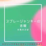 あいる スプレージャンキーの吉報 NEO不夜城