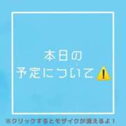 ヒメ日記 2026/09/16 07:24 投稿 あいる NEO不夜城
