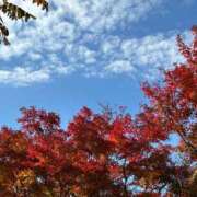 ヒメ日記 2024/12/20 12:48 投稿 しおり 丸妻 新横浜店