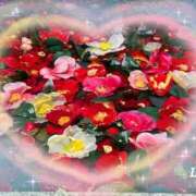 ヒメ日記 2025/02/07 12:18 投稿 しおり 丸妻 新横浜店