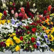 ヒメ日記 2025/04/24 12:20 投稿 しおり 丸妻 新横浜店