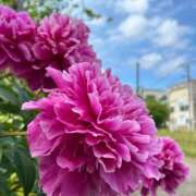 ヒメ日記 2025/08/04 10:29 投稿 しおり 丸妻 新横浜店