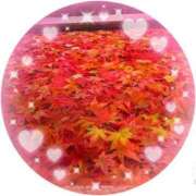 ヒメ日記 2025/11/13 12:27 投稿 しおり 丸妻 新横浜店