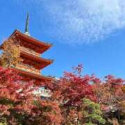 ヒメ日記 2025/11/25 12:08 投稿 しおり 丸妻 新横浜店