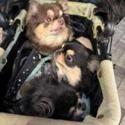 ヒメ日記 2024/12/25 12:19 投稿 真央（人妻） Yシャツと私