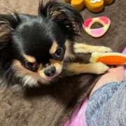 ヒメ日記 2024/12/27 14:28 投稿 真央（人妻） Yシャツと私