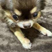 ヒメ日記 2024/12/30 14:19 投稿 真央（人妻） Yシャツと私