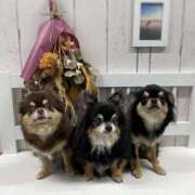 ヒメ日記 2025/01/03 17:26 投稿 真央（人妻） Yシャツと私