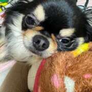 ヒメ日記 2025/01/12 14:42 投稿 真央（人妻） Yシャツと私