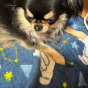 ヒメ日記 2025/01/13 12:40 投稿 真央（人妻） Yシャツと私