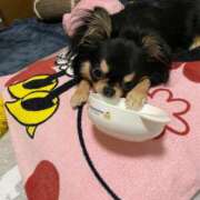 ヒメ日記 2025/01/14 11:39 投稿 真央（人妻） Yシャツと私