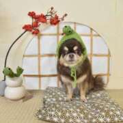 ヒメ日記 2025/01/19 11:31 投稿 真央（人妻） Yシャツと私