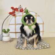 ヒメ日記 2025/01/20 11:32 投稿 真央（人妻） Yシャツと私