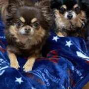 ヒメ日記 2025/01/22 11:35 投稿 真央（人妻） Yシャツと私