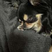 ヒメ日記 2025/02/01 11:32 投稿 真央（人妻） Yシャツと私