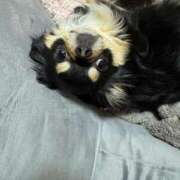 ヒメ日記 2025/02/02 11:26 投稿 真央（人妻） Yシャツと私