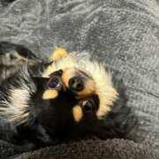 ヒメ日記 2025/02/20 11:30 投稿 真央（人妻） Yシャツと私