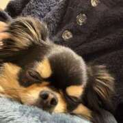 ヒメ日記 2025/02/24 11:28 投稿 真央（人妻） Yシャツと私