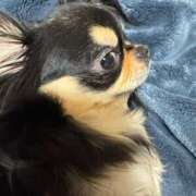 ヒメ日記 2025/02/25 11:46 投稿 真央（人妻） Yシャツと私