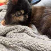 ヒメ日記 2025/02/28 12:30 投稿 真央（人妻） Yシャツと私