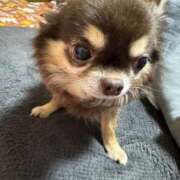 ヒメ日記 2025/03/02 11:44 投稿 真央（人妻） Yシャツと私