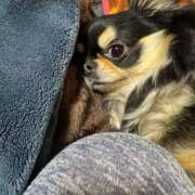 ヒメ日記 2025/03/04 11:35 投稿 真央（人妻） Yシャツと私