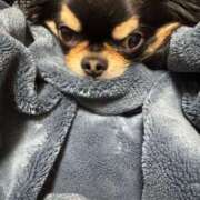 ヒメ日記 2025/03/06 11:35 投稿 真央（人妻） Yシャツと私