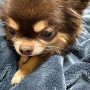 ヒメ日記 2025/03/07 11:35 投稿 真央（人妻） Yシャツと私