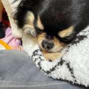 ヒメ日記 2025/03/10 11:33 投稿 真央（人妻） Yシャツと私