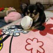 ヒメ日記 2025/03/15 11:44 投稿 真央（人妻） Yシャツと私