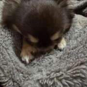 ヒメ日記 2025/03/18 11:32 投稿 真央（人妻） Yシャツと私