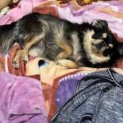 ヒメ日記 2025/03/19 12:14 投稿 真央（人妻） Yシャツと私