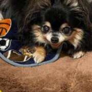 ヒメ日記 2025/03/20 14:48 投稿 真央（人妻） Yシャツと私