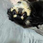 ヒメ日記 2025/03/24 11:32 投稿 真央（人妻） Yシャツと私