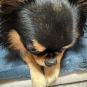 ヒメ日記 2025/03/27 11:27 投稿 真央（人妻） Yシャツと私