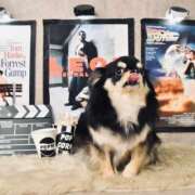 ヒメ日記 2025/03/30 11:50 投稿 真央（人妻） Yシャツと私