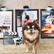 ヒメ日記 2025/03/31 11:44 投稿 真央（人妻） Yシャツと私